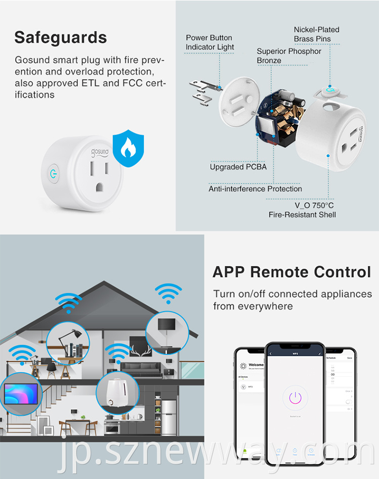 Gosund Wifi Plug